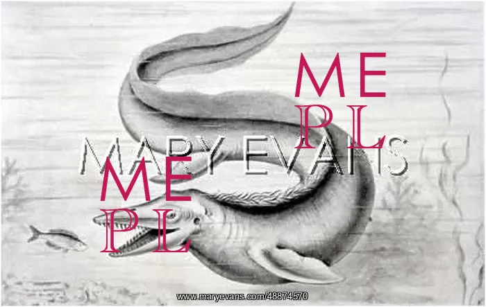  : TYLOSAURUS