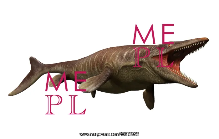 : Tylosaurus isolated on a white background : Tylosaurus isolated on a white background