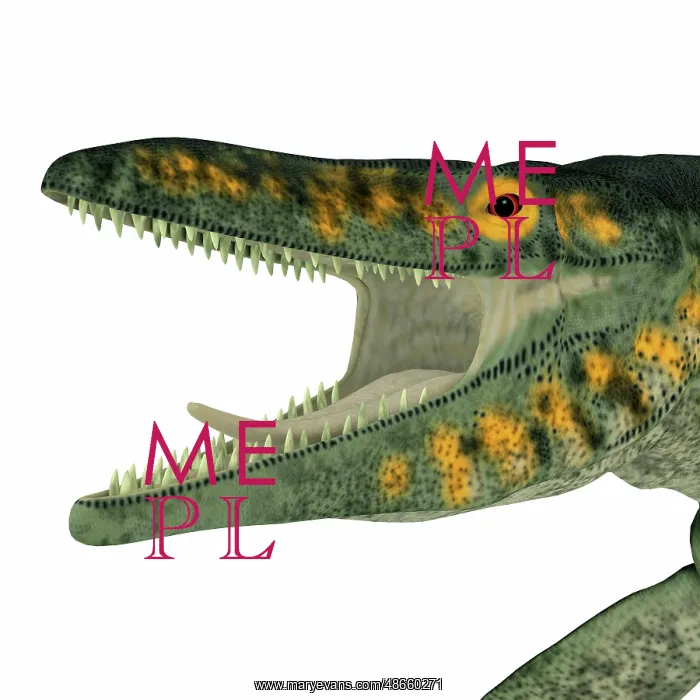 : Tylosaurus marine reptile head portrait : Tylosaurus marine reptile head portrait