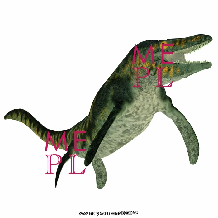 : Tylosaurus marine reptile on white background : Tylosaurus marine reptile on white background