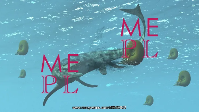 : Tylosaurus tries to feed on some ammonites : Tylosaurus tries to feed on some ammonites