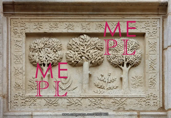 : Tympanum relief of trees, Palais Jacques Coeur : Tympanum relief of trees, Palais Jacques Coeur