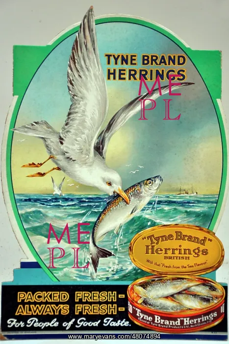 : Tyne Brand Herrings : Tyne Brand Herrings