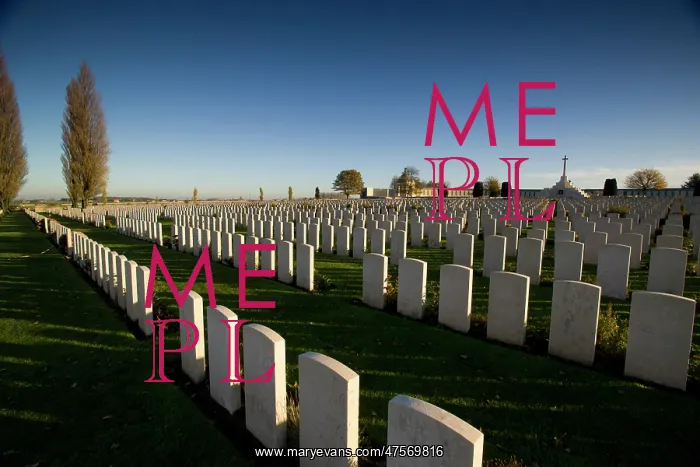 : Tyne Cot Cemetery : Tyne Cot Cemetery