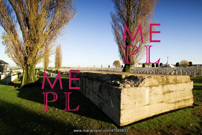 : Tyne Cot Cemetery : Tyne Cot Cemetery
