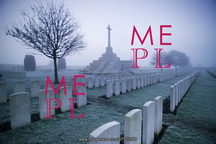 : Tyne Cot Cemetery : Tyne Cot Cemetery