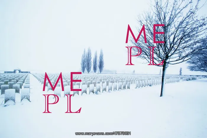 : Tyne Cot Cemetery : Tyne Cot Cemetery