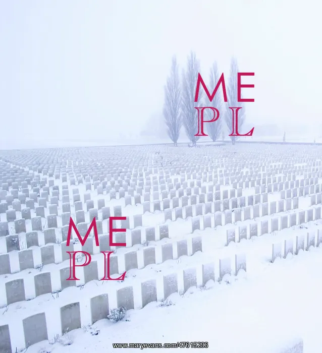: Tyne Cot Cemetery : Tyne Cot Cemetery
