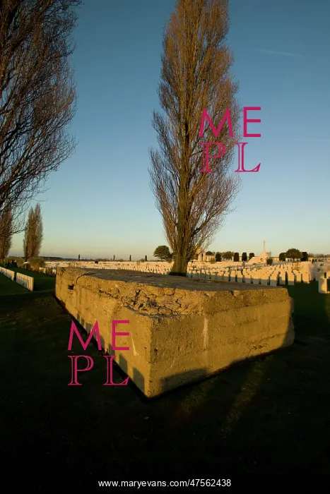 : Tyne Cot CWGC : Tyne Cot CWGC