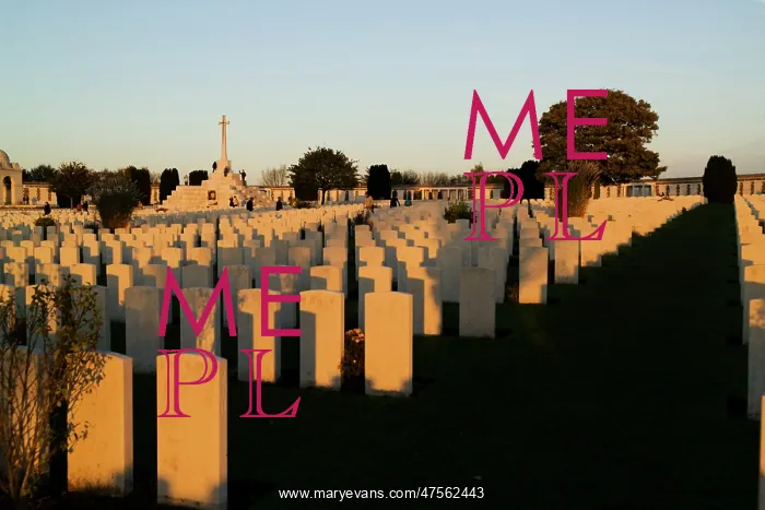 : Tyne Cot CWGC : Tyne Cot CWGC