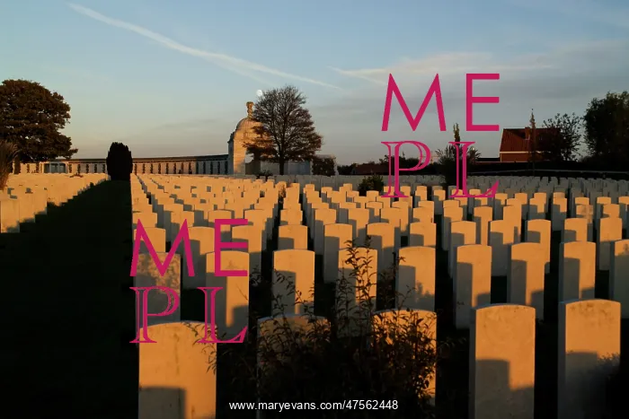 : Tyne Cot CWGC : Tyne Cot CWGC