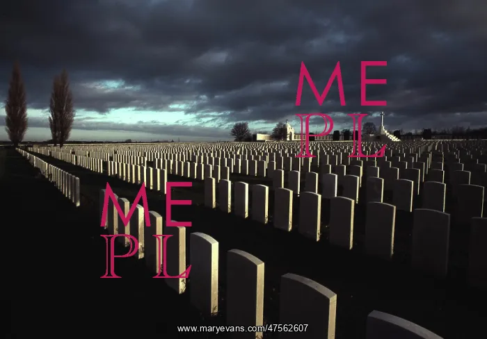 : Tyne Cot CWGC : Tyne Cot CWGC