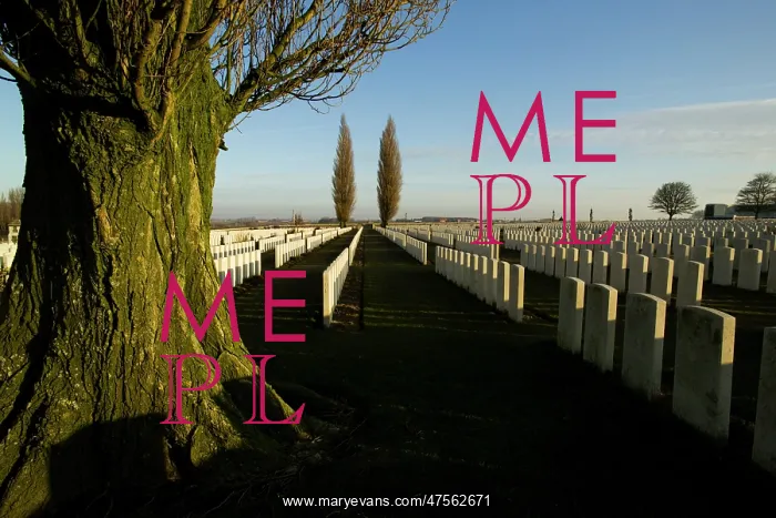 : Tyne Cot CWGC : Tyne Cot CWGC