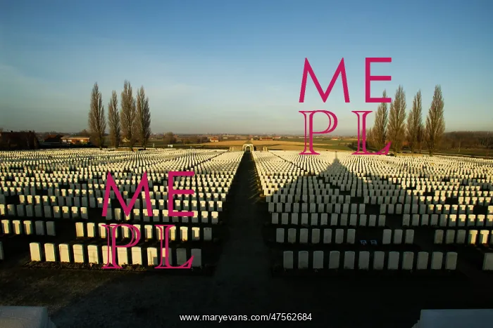 : Tyne Cot CWGC : Tyne Cot CWGC