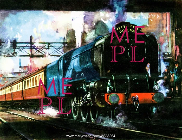 : The Tyne-Tees Pullman : The Tyne-Tees Pullman