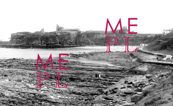  : Tynemouth, across the Bay c1955