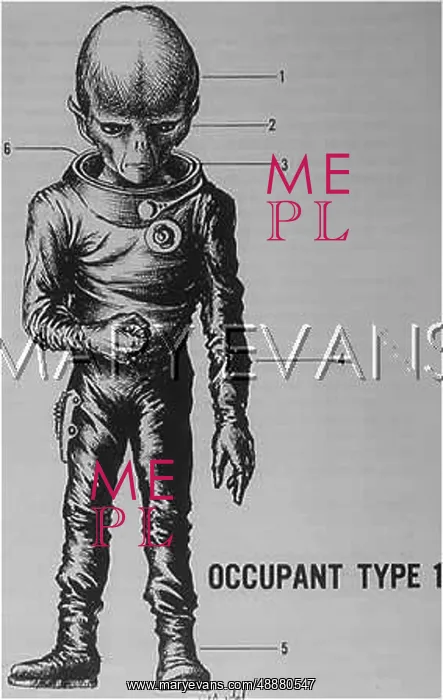 : TYPE 1 OCCUPANT : TYPE 1 OCCUPANT