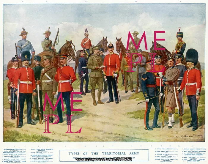 : TYPES OF TERRITORIALS : TYPES OF TERRITORIALS