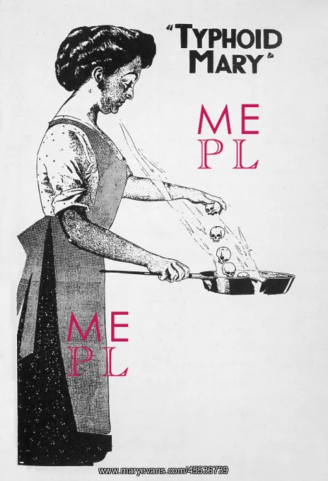 : Typhoid Mary : Typhoid Mary