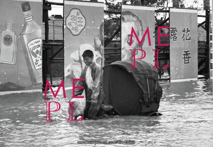 : Typhoon Amy Floods Taipei : Typhoon Amy Floods Taipei