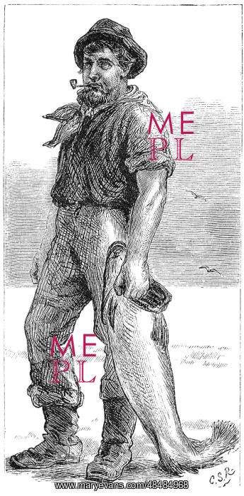 : Typical Cape Cod fisherman. Wood engraving from : Typical Cape Cod fisherman. Wood engraving from