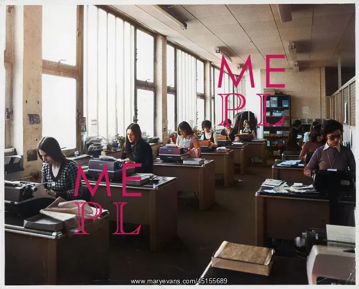 : TYPING POOL / 1970S : TYPING POOL / 1970S