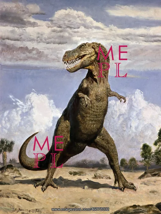 : Tyrannosaurus rex : Tyrannosaurus rex