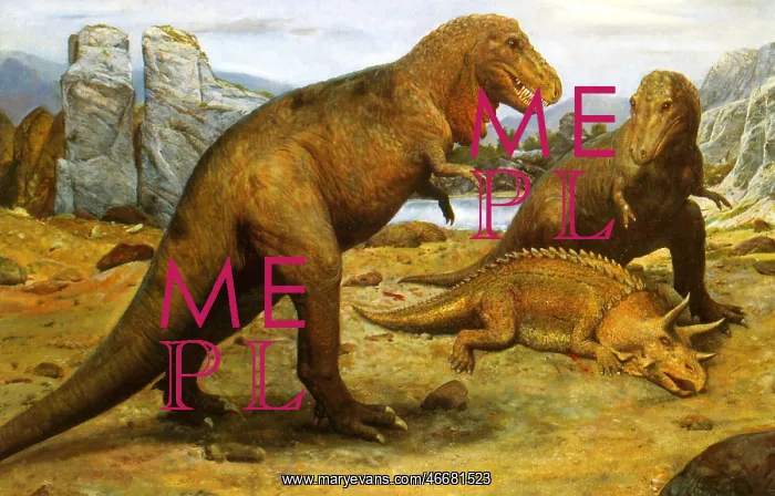 : Tyrannosaurus rex : Tyrannosaurus rex