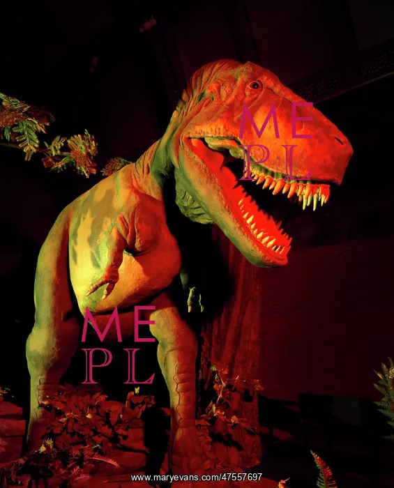 : Tyrannosaurus rex : Tyrannosaurus rex