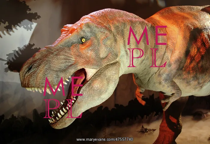 : Tyrannosaurus rex : Tyrannosaurus rex