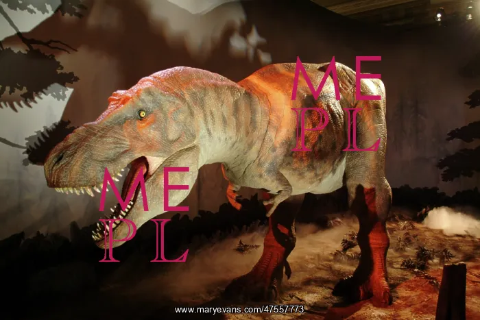 : Tyrannosaurus rex : Tyrannosaurus rex