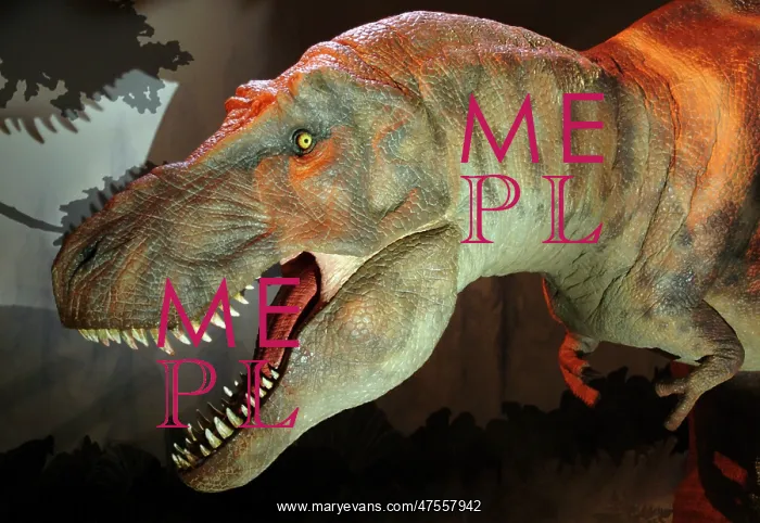 : Tyrannosaurus rex : Tyrannosaurus rex