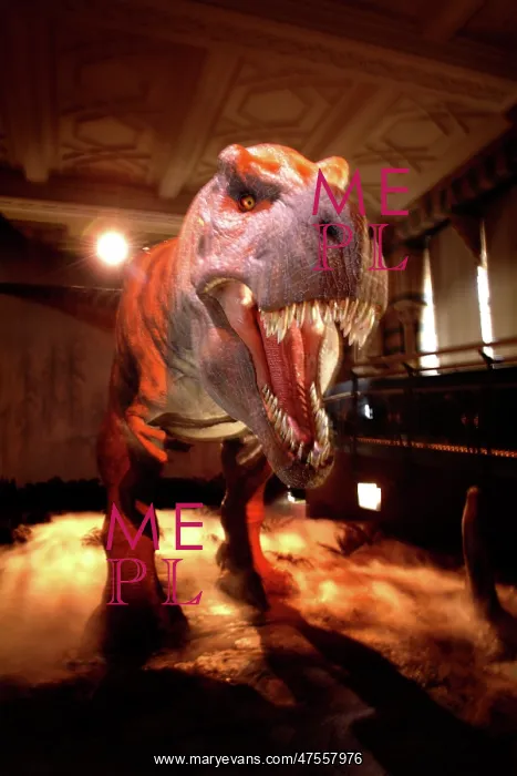 : Tyrannosaurus rex : Tyrannosaurus rex