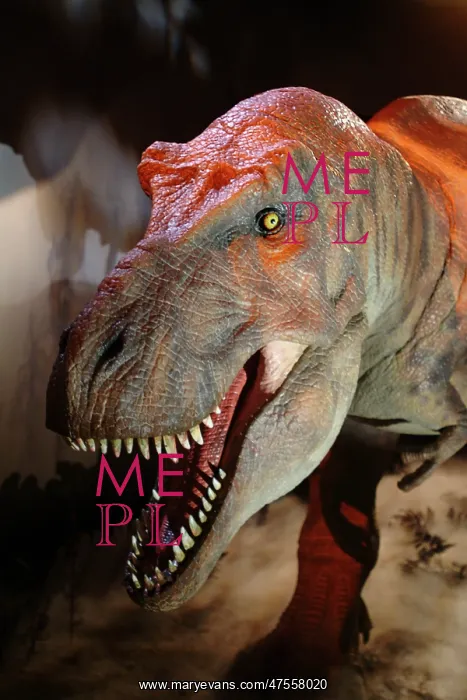 : Tyrannosaurus rex : Tyrannosaurus rex