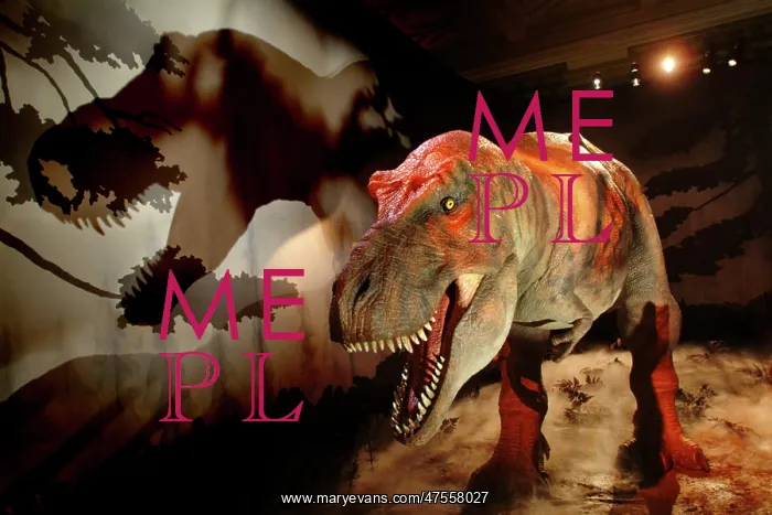: Tyrannosaurus rex : Tyrannosaurus rex