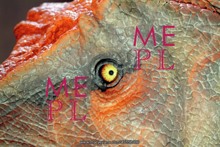 : Tyrannosaurus rex : Tyrannosaurus rex