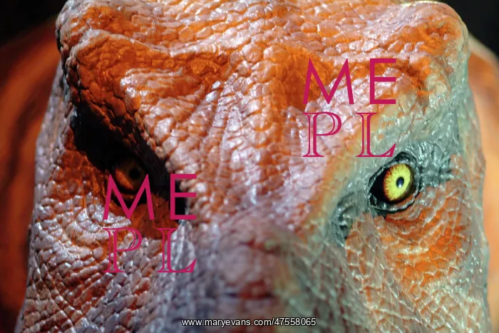 : Tyrannosaurus rex : Tyrannosaurus rex