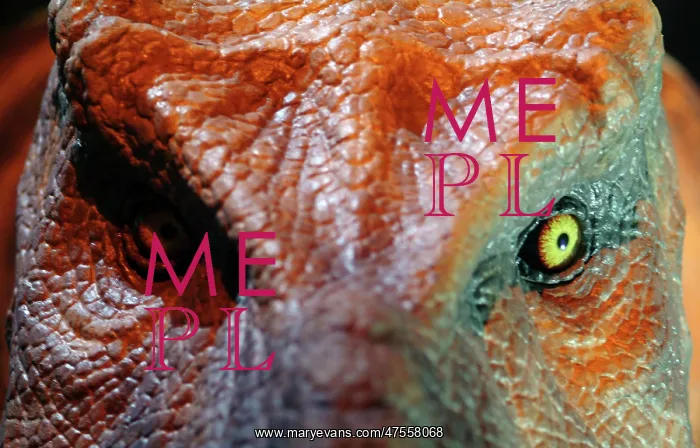 : Tyrannosaurus rex : Tyrannosaurus rex