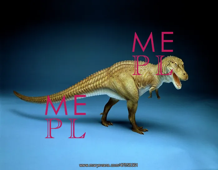 : Tyrannosaurus rex : Tyrannosaurus rex