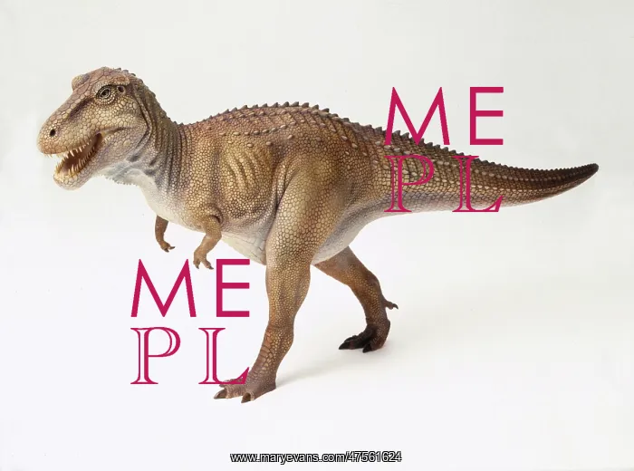 : Tyrannosaurus rex : Tyrannosaurus rex