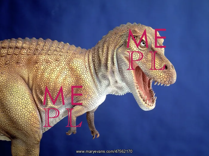  : Tyrannosaurus rex