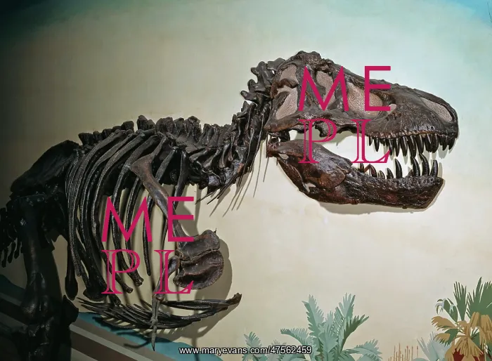 : Tyrannosaurus rex : Tyrannosaurus rex