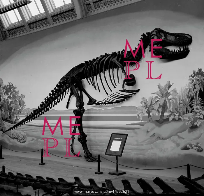 : Tyrannosaurus rex : Tyrannosaurus rex