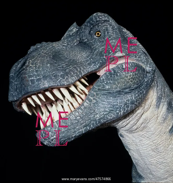 : Tyrannosaurus rex : Tyrannosaurus rex
