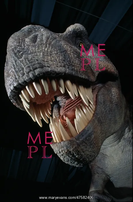 : Tyrannosaurus rex : Tyrannosaurus rex