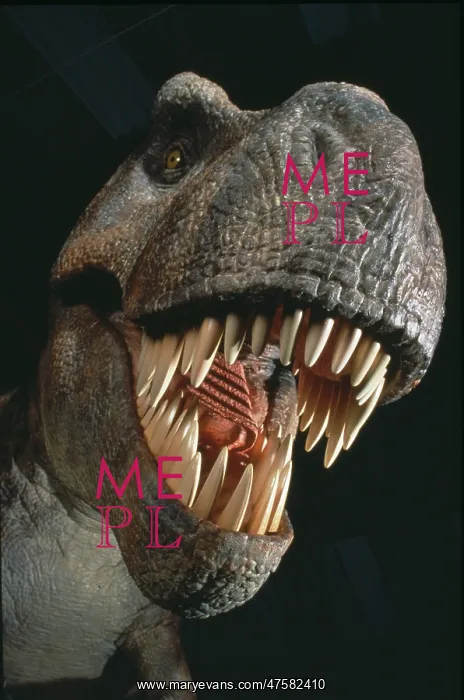 : Tyrannosaurus rex : Tyrannosaurus rex