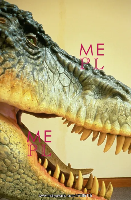 : Tyrannosaurus rex : Tyrannosaurus rex
