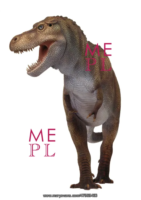  : Tyrannosaurus rex