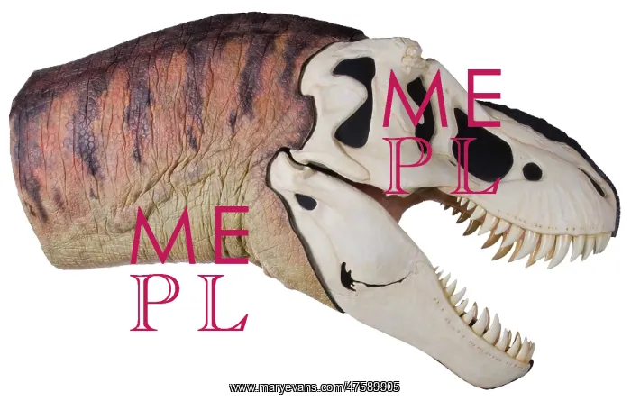 : Tyrannosaurus rex : Tyrannosaurus rex