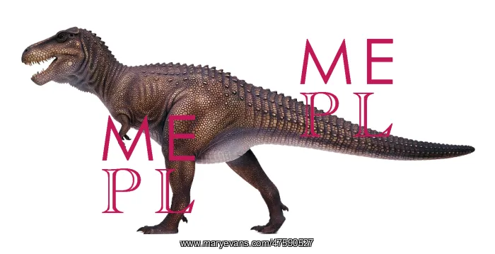 : Tyrannosaurus rex : Tyrannosaurus rex